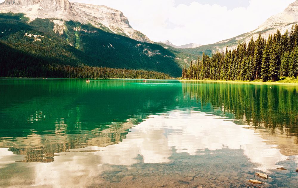 Clear Lake View art print by Gail Peck for $57.95 CAD