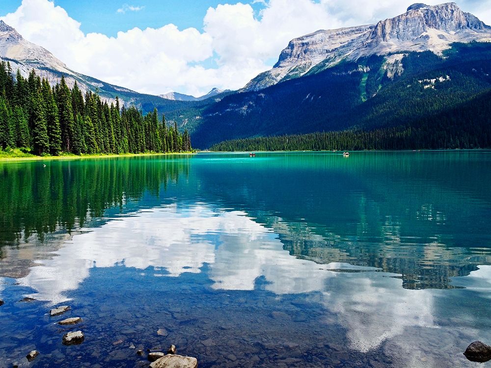 Clear Views art print by Gail Peck for $57.95 CAD