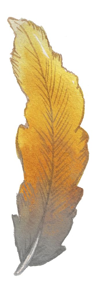 Bohem Feather II art print by Elizabeth Medley for $57.95 CAD