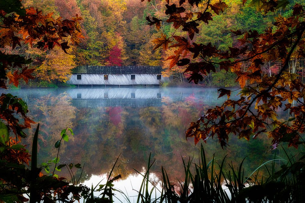 Woodland Lake House art print by Andy Amos for $57.95 CAD