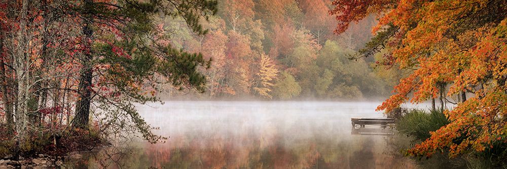 Rising Fog Panel art print by Andy Amos for $57.95 CAD