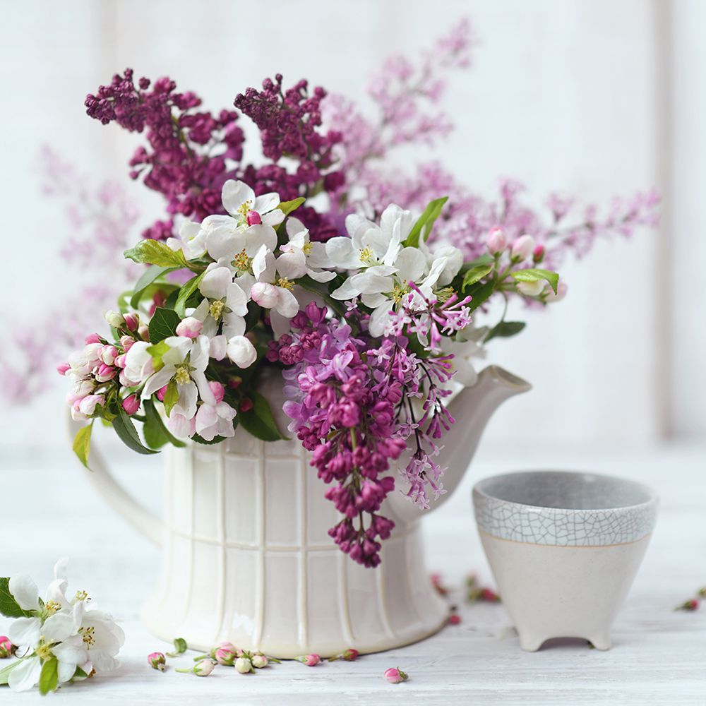 Lovely Lilacs art print by Sarah Gardner for $57.95 CAD
