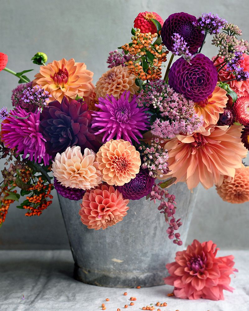 Country Blooms art print by Sarah Gardner for $57.95 CAD