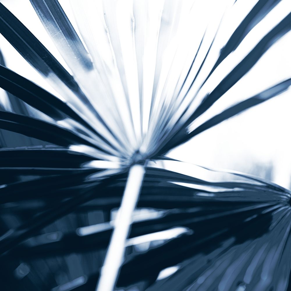 Among Blue Palms I art print by Susan Bryant for $57.95 CAD