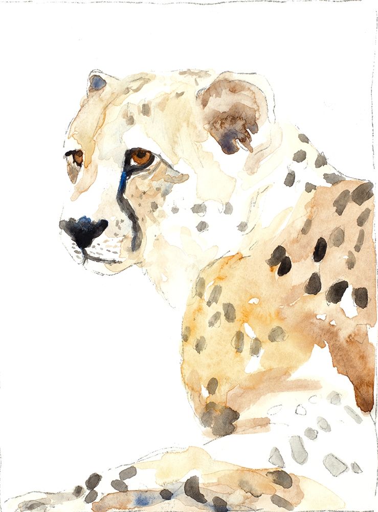 Seated Cheetah art print by Lanie Loreth for $57.95 CAD