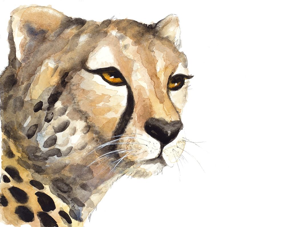 Cheetah Portrait art print by Lanie Loreth for $57.95 CAD