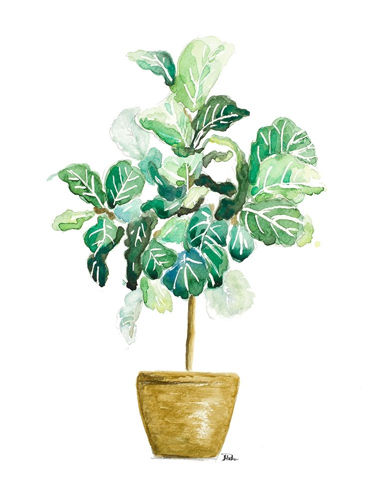 Fig Plant art print by Patricia Pinto for $57.95 CAD