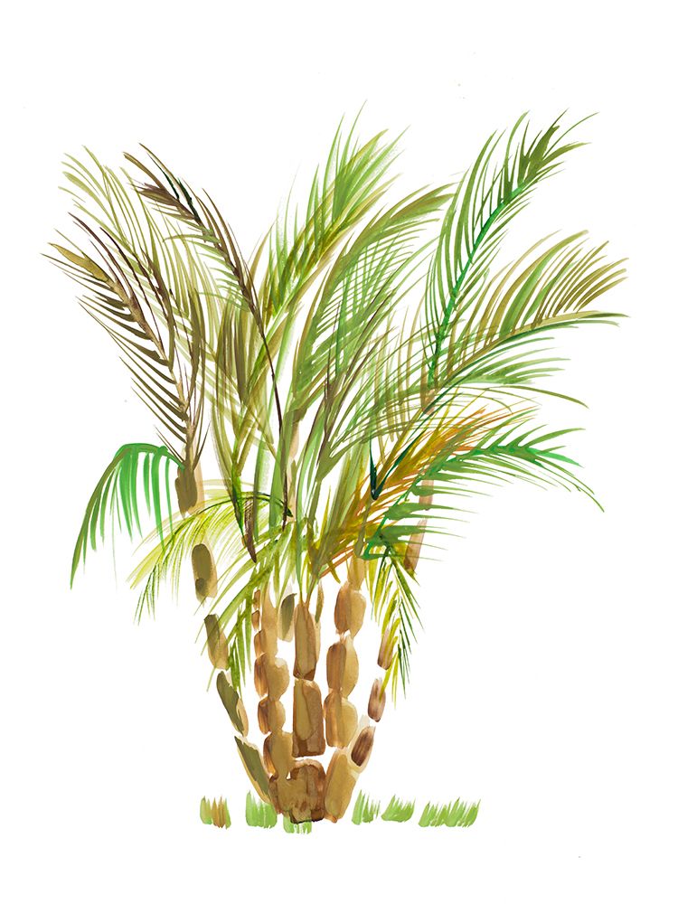 The Palm IV art print by Julie DeRice for $57.95 CAD