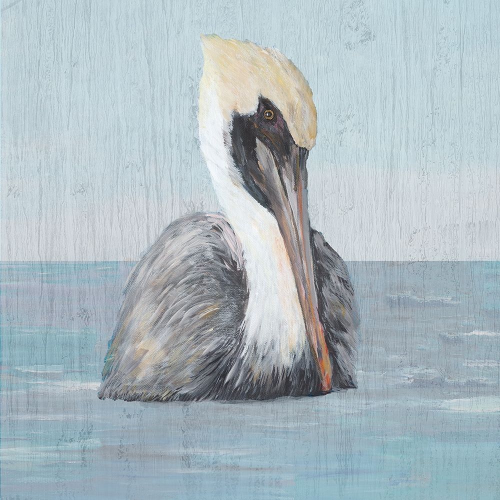 Pelican Wash II art print by Julie DeRice for $57.95 CAD