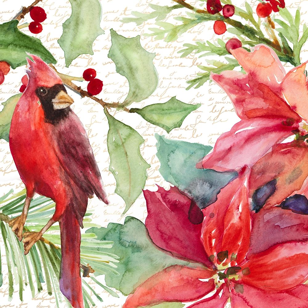 Poinsettia and Cardinal II art print by Lanie Loreth for $57.95 CAD