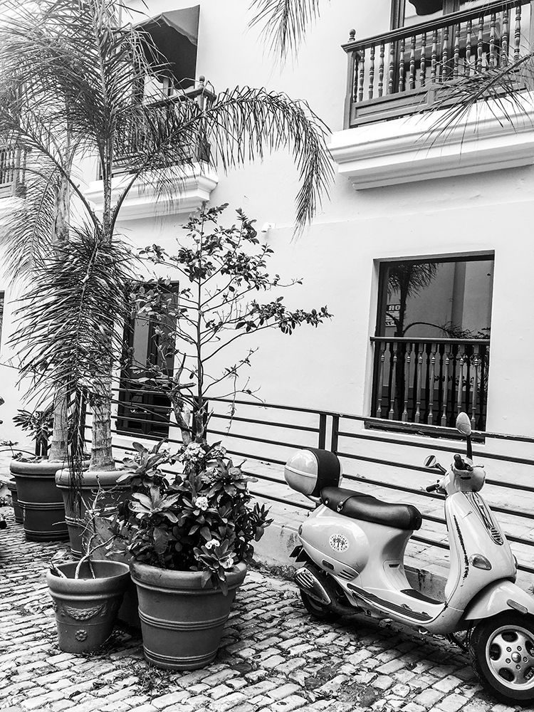 Viejo San Juan III art print by Acosta for $57.95 CAD