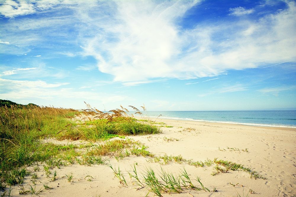 Shores View art print by Jen Bucheli for $57.95 CAD