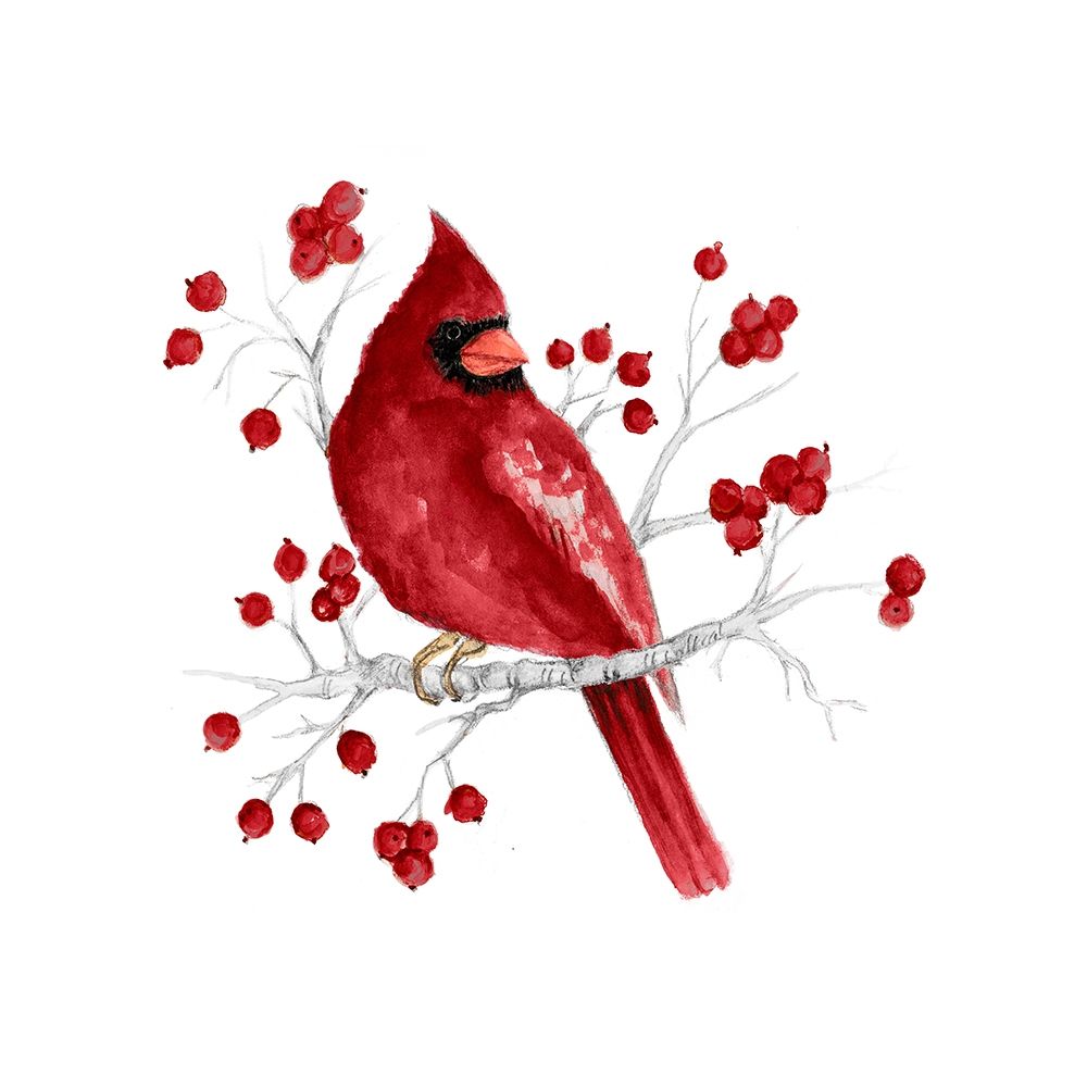 Winter Cardinal in Red I art print by Janice Gaynor for $57.95 CAD