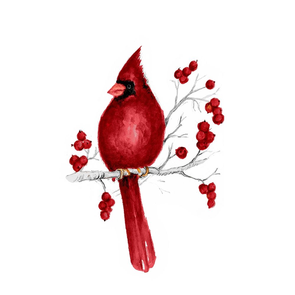 Winter Cardinal in Red II art print by Janice Gaynor for $57.95 CAD