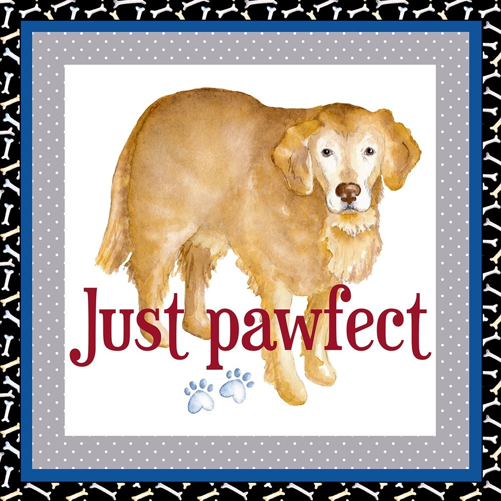 A Dogs Life V art print by Andi Metz for $57.95 CAD