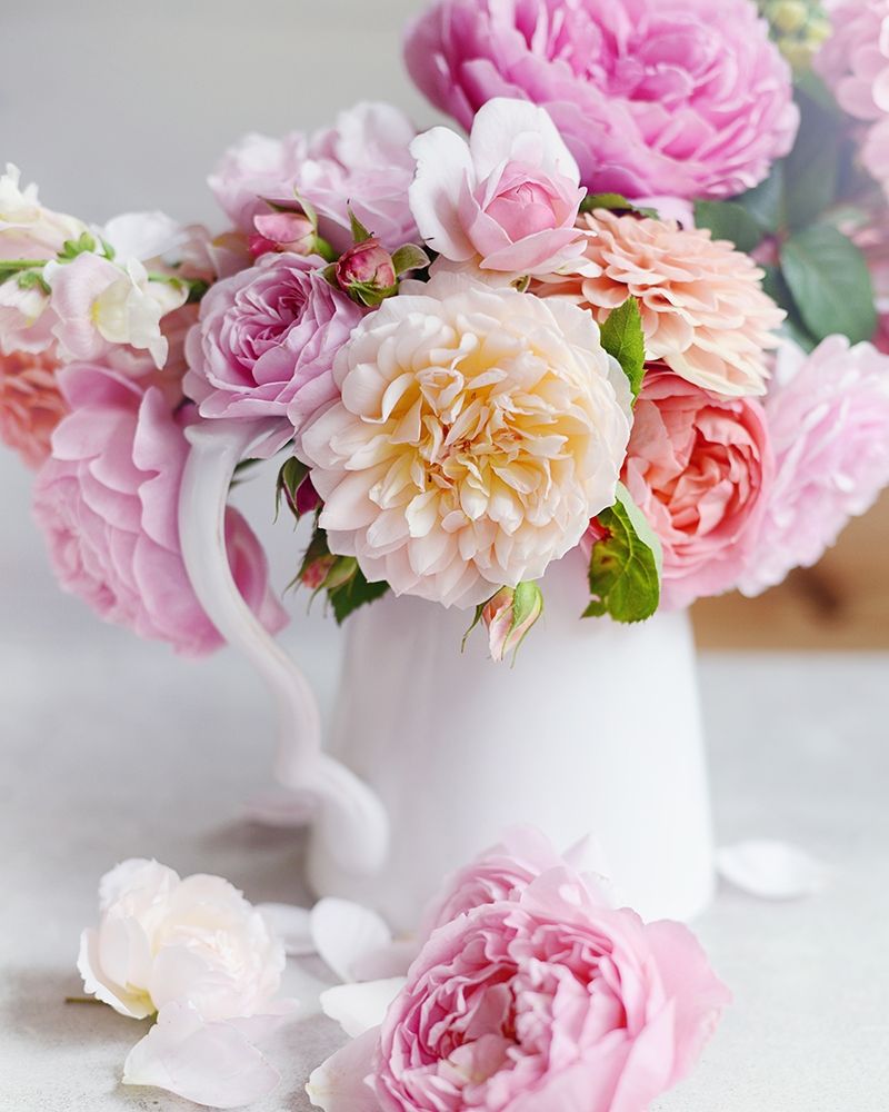 Romance Of Spring art print by Sarah Gardner for $57.95 CAD