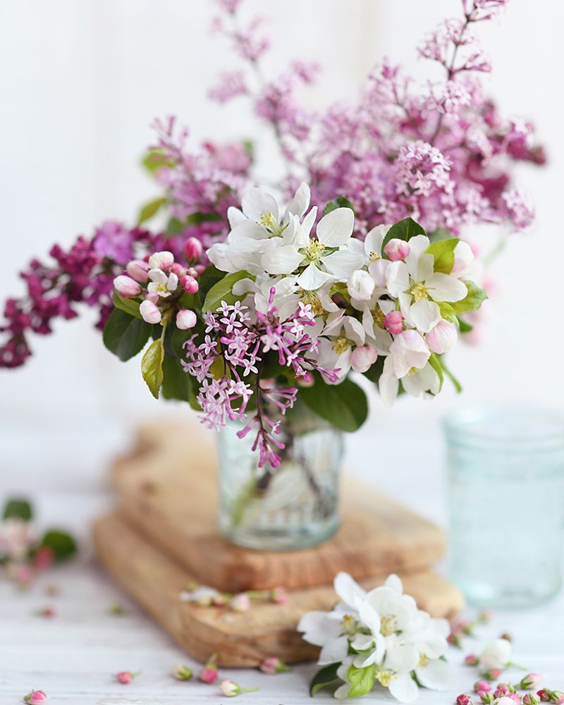 Happiness in a Vase art print by Sarah Gardner for $57.95 CAD