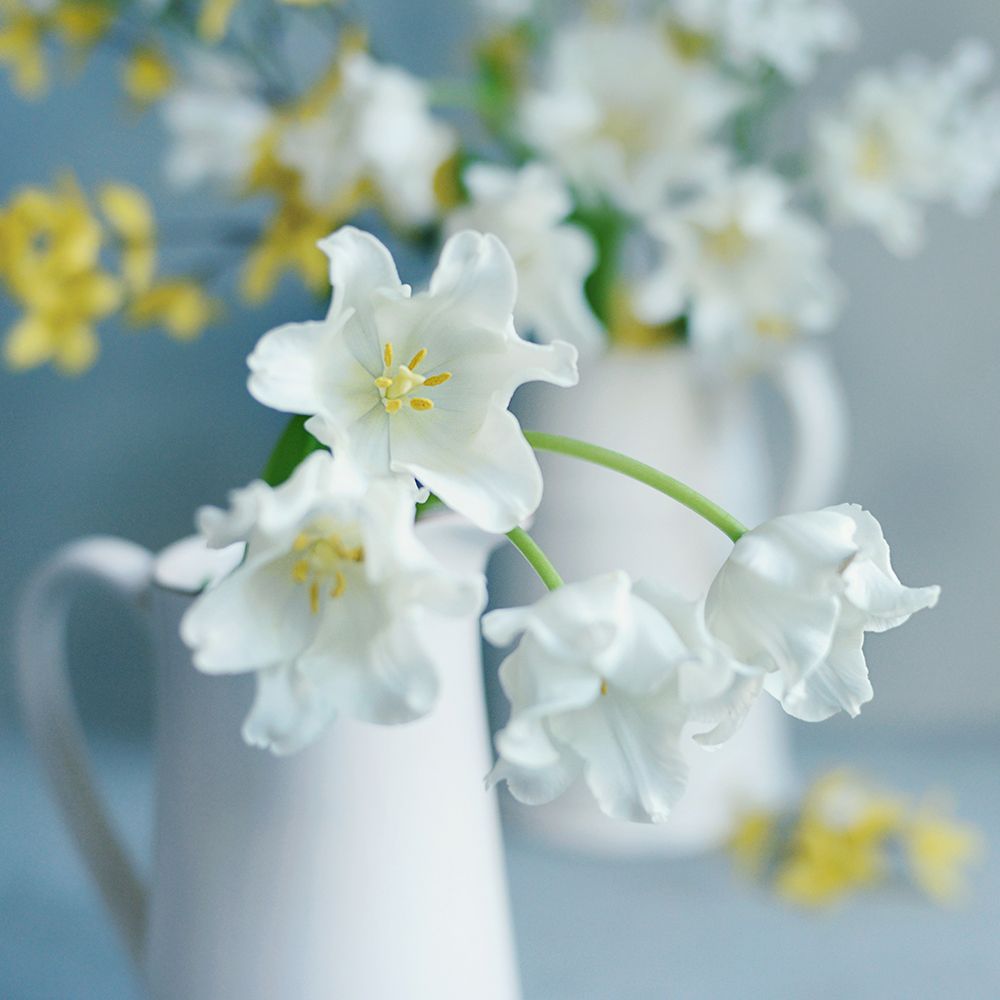 Beautiful Floral Greetings art print by Sarah Gardner for $57.95 CAD
