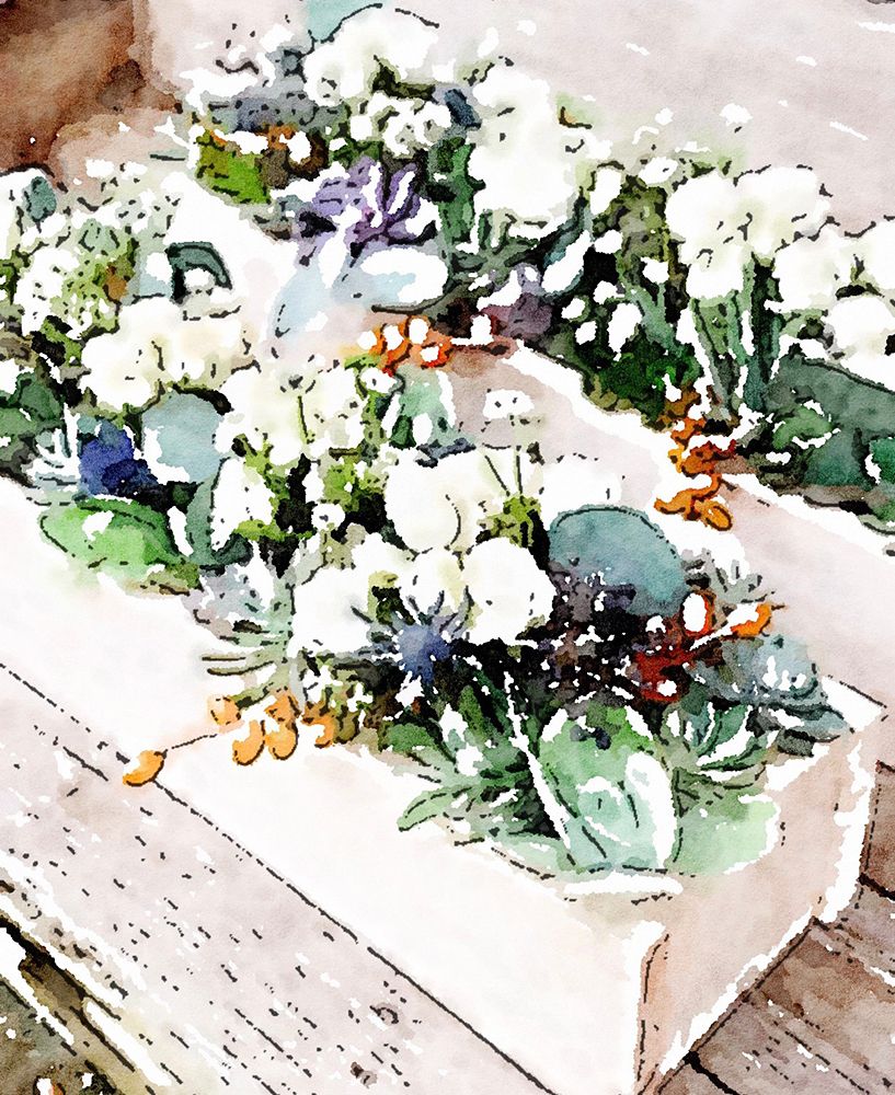 Succulent Arrangement art print by B. Danelle for $57.95 CAD