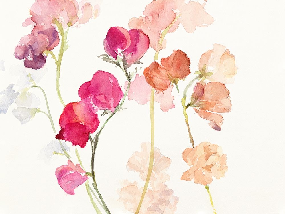 Swaying Sweet Peas art print by Lanie Loreth for $57.95 CAD