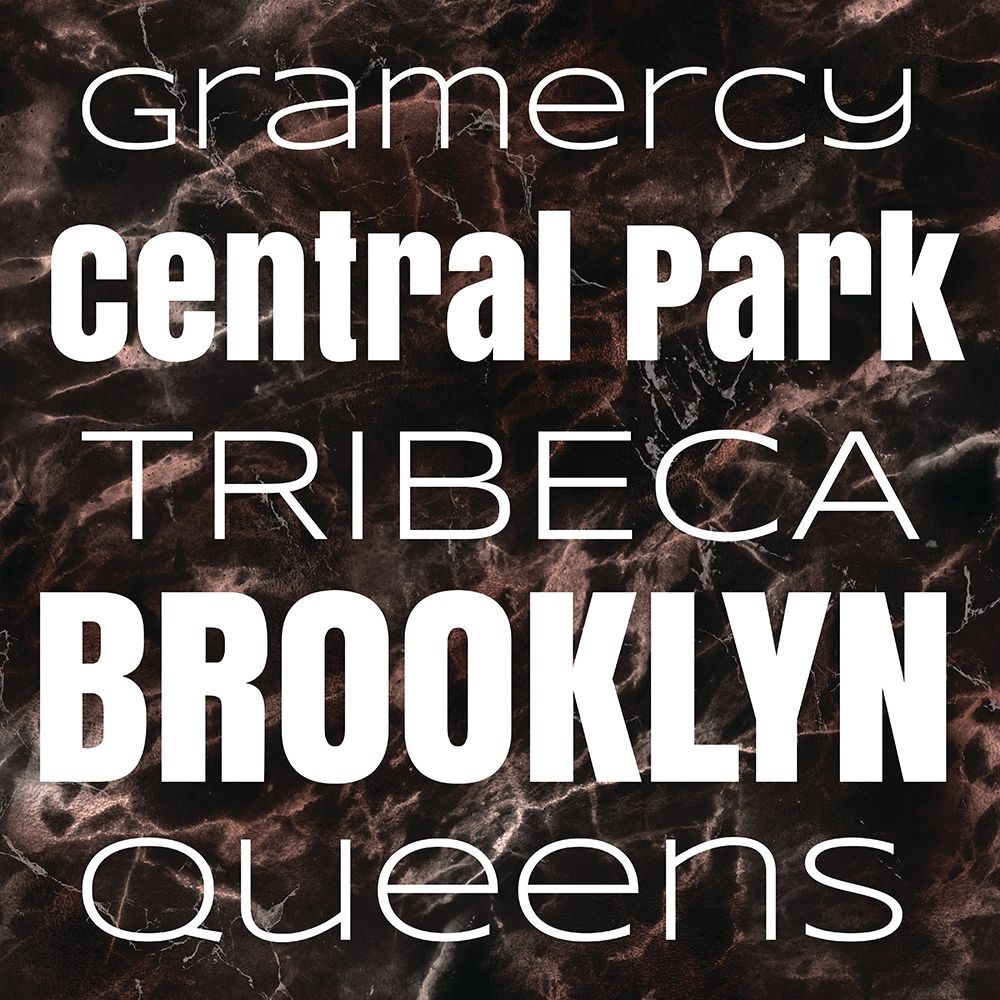 New York Boroughs II art print by Elizabeth Medley for $57.95 CAD