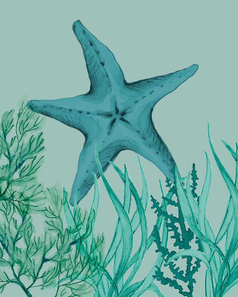 Showy Starfish art print by Lanie Loreth for $57.95 CAD