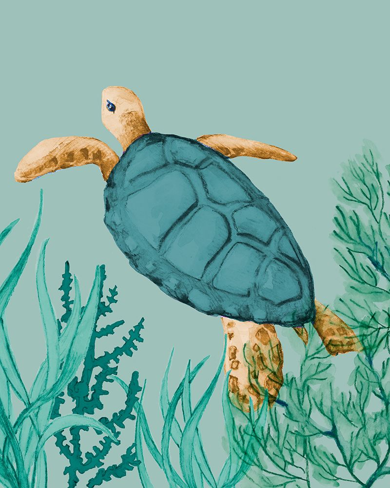 Showy Turtle art print by Lanie Loreth for $57.95 CAD