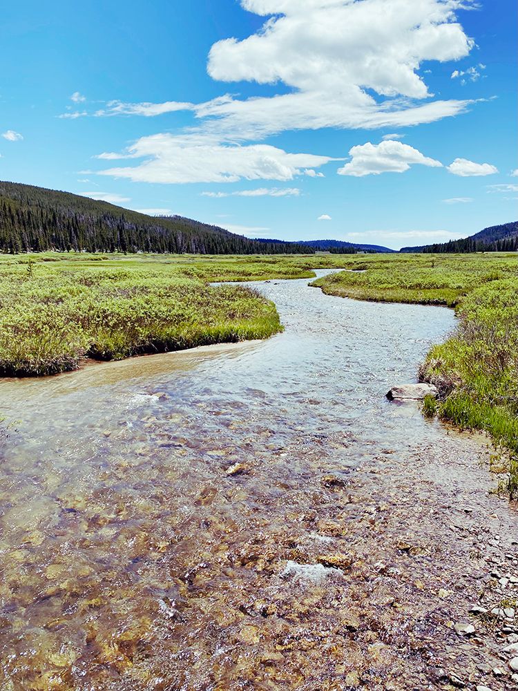 Rocky Stream art print by Anna Coppel for $57.95 CAD
