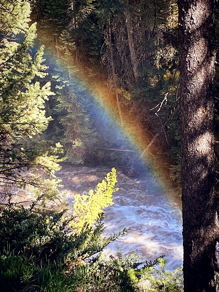 Stream and Rainbow Collide art print by Anna Coppel for $57.95 CAD