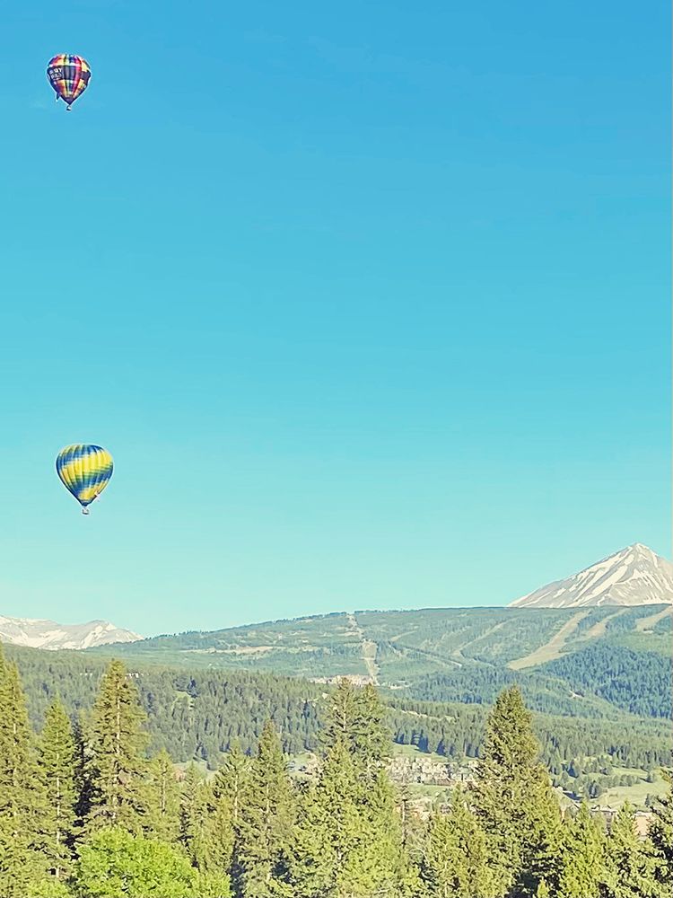 Hot Air Balloons art print by Anna Coppel for $57.95 CAD