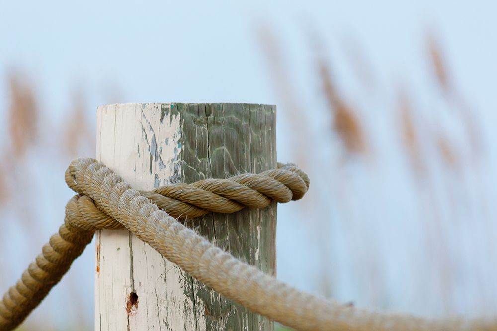 Beach Rope art print by Stede Bonnett for $57.95 CAD
