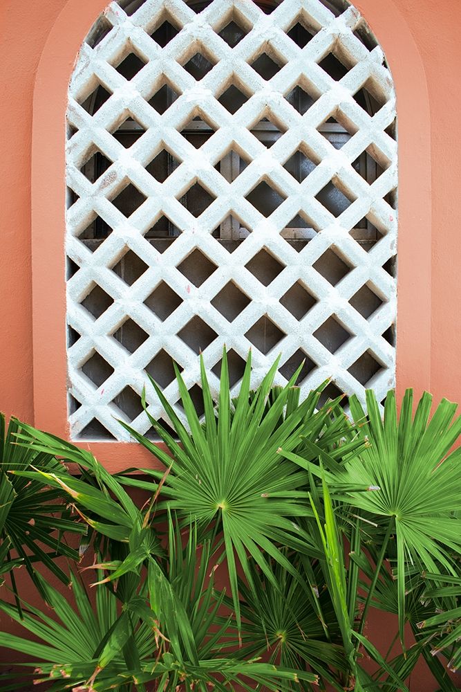 Mexican Fan Palms art print by Kali Wilson for $57.95 CAD
