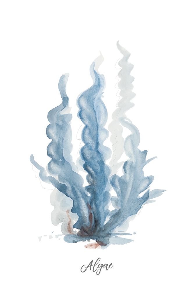 Algae art print by Patricia Pinto for $57.95 CAD