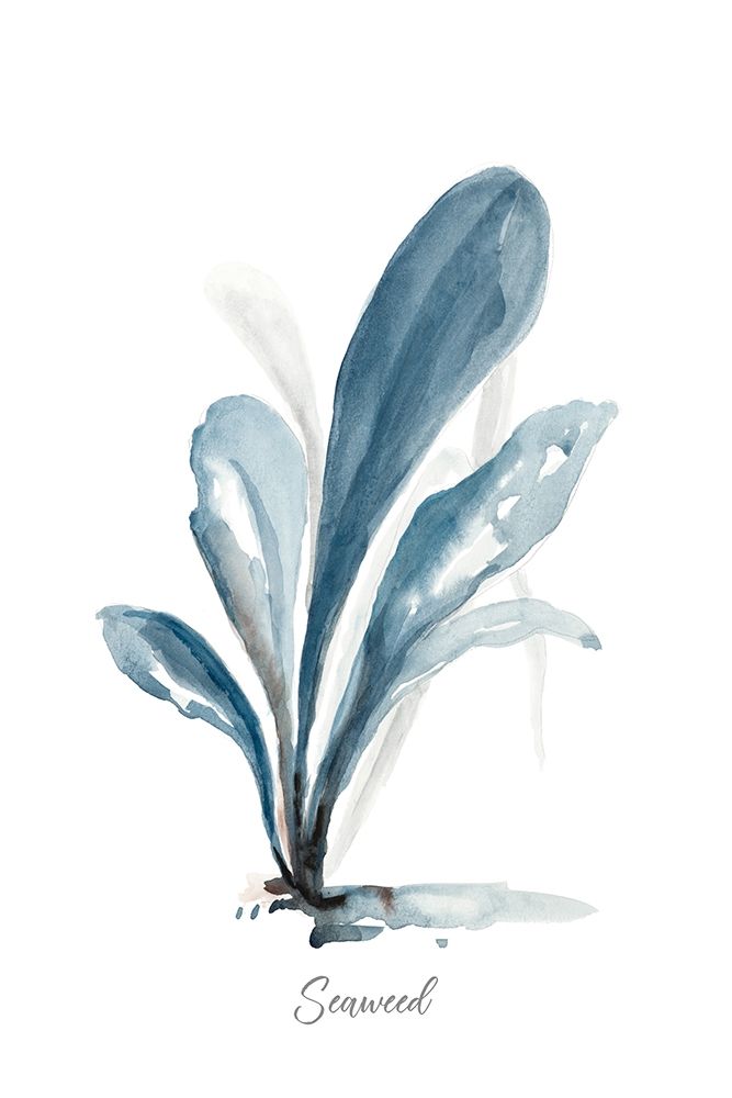 Seaweed art print by Patricia Pinto for $57.95 CAD