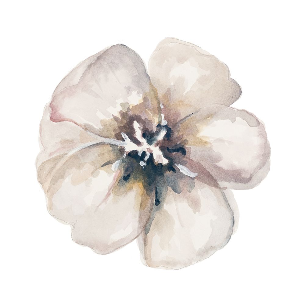 Vintage Taupe art print by Patricia Pinto for $57.95 CAD