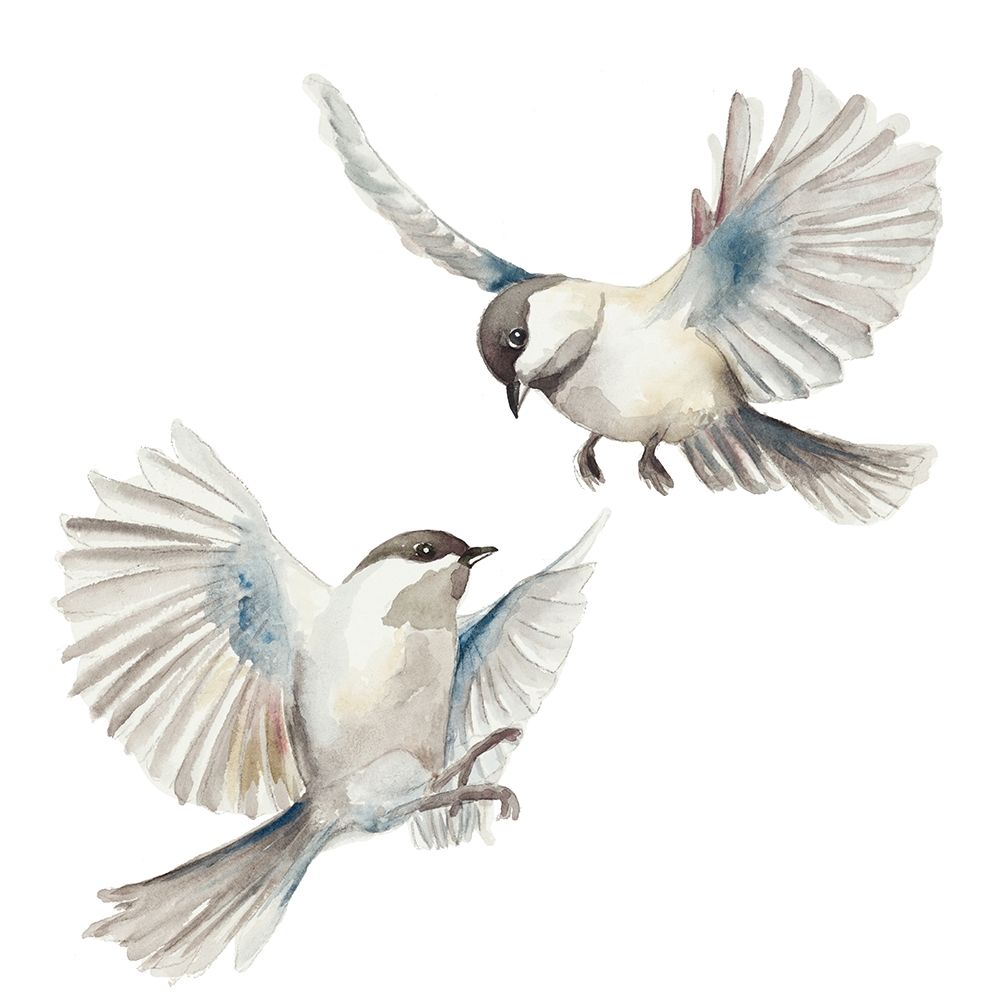 Isolated Birds art print by Patricia Pinto for $57.95 CAD