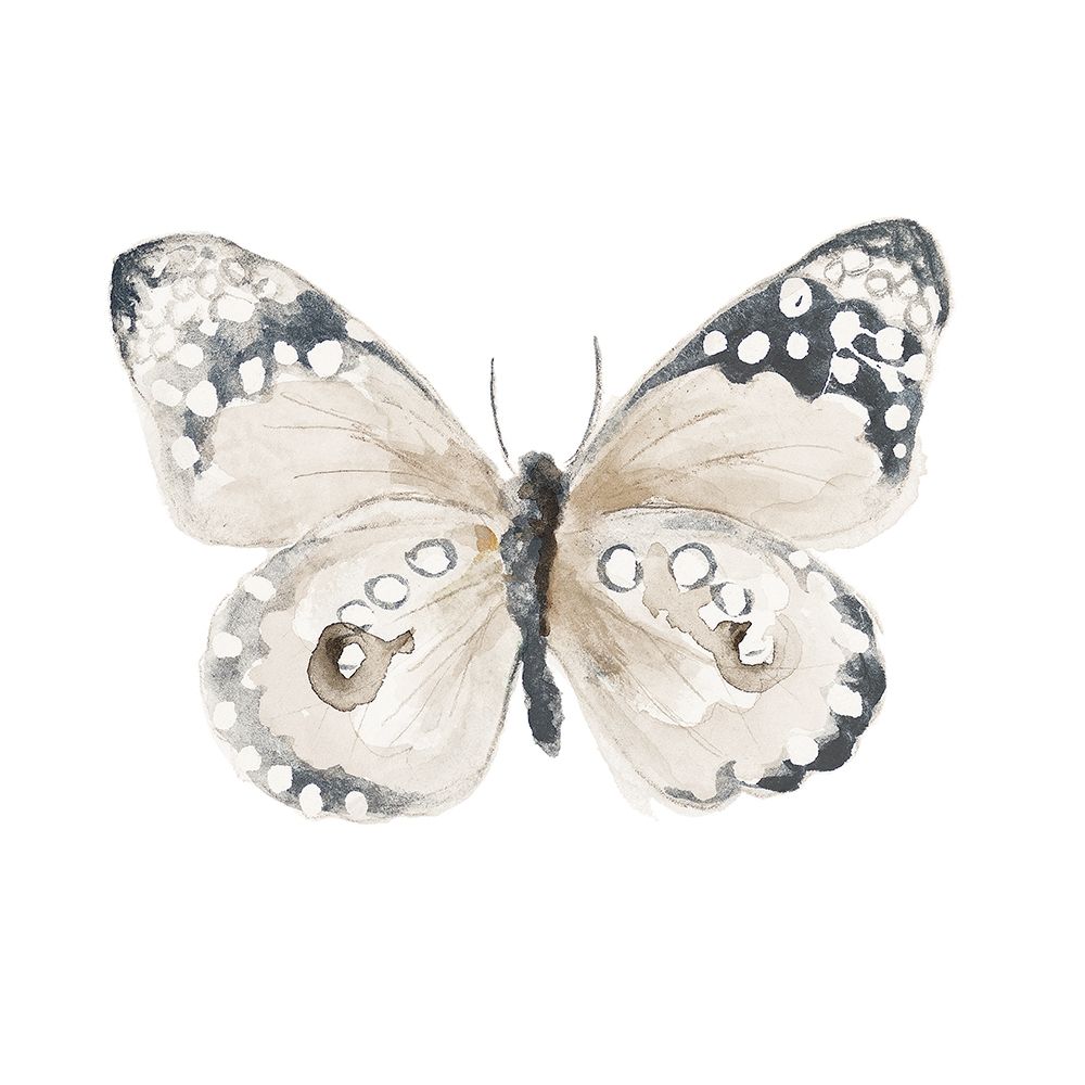 Steady Wings I art print by Patricia Pinto for $57.95 CAD
