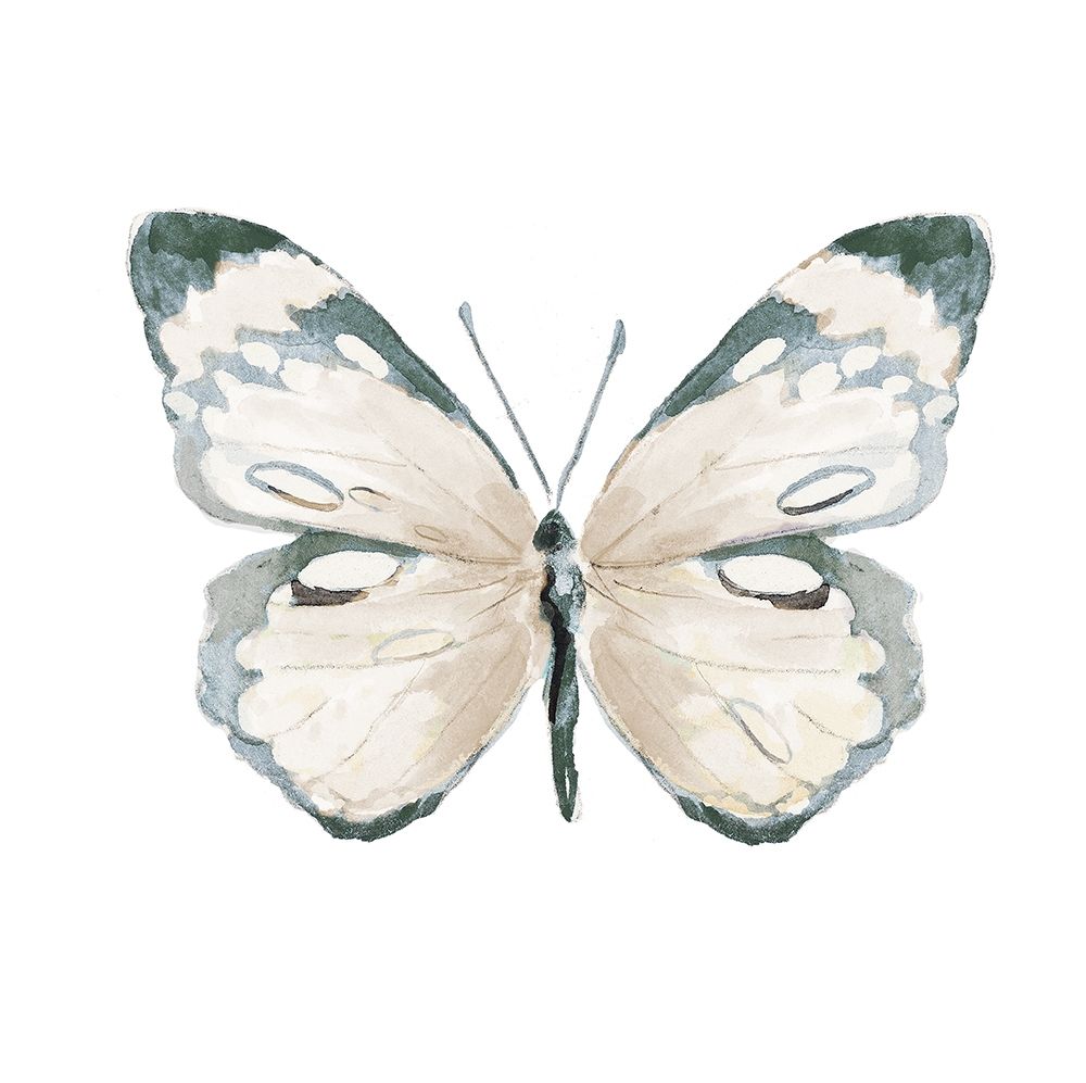 Steady Wings III art print by Patricia Pinto for $57.95 CAD