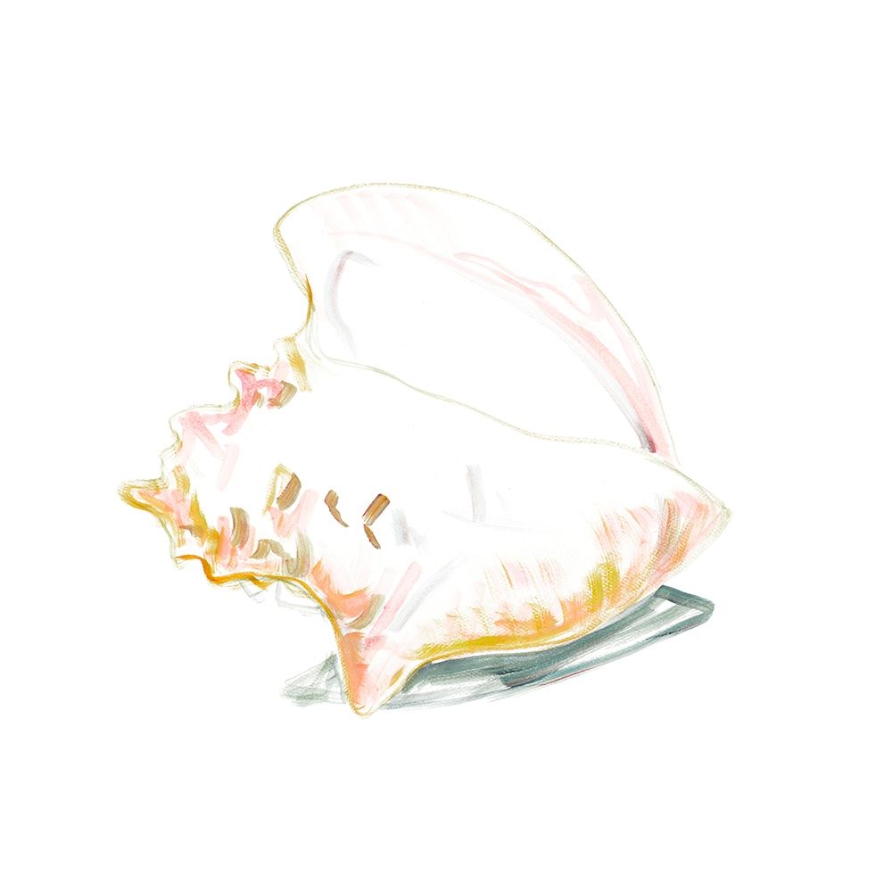 Conch Square art print by Andy Beauchamp for $57.95 CAD
