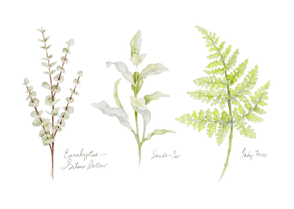 Named Ferns II art print by Janice Gaynor for $57.95 CAD