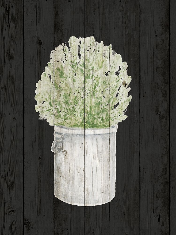 Herbs on Black Wood II art print by Janice Gaynor for $57.95 CAD