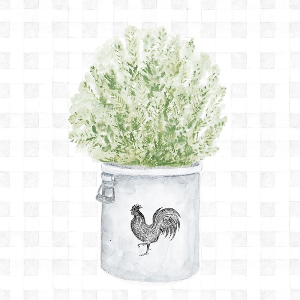 Farm Herbs II art print by Janice Gaynor for $57.95 CAD
