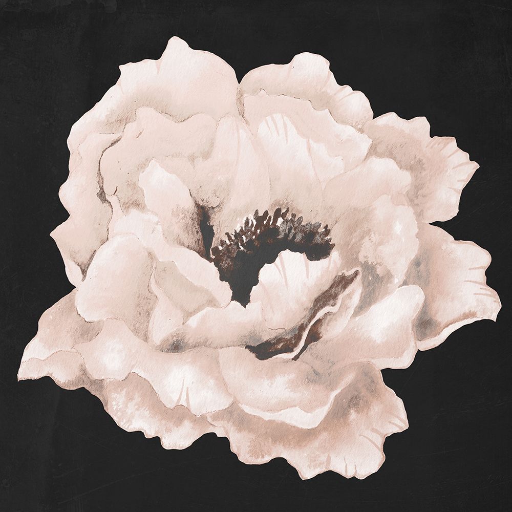 Pink Flower on Black I art print by Elizabeth Medley for $57.95 CAD