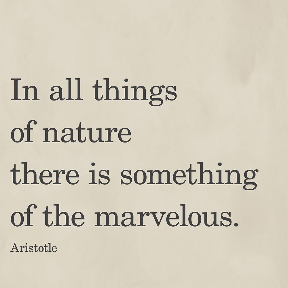 Something Of The Marvelous art print by SD Graphics Studio for $57.95 CAD