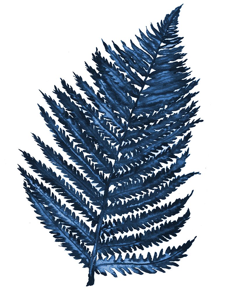 Blue Fern II art print by Elizabeth Medley for $57.95 CAD