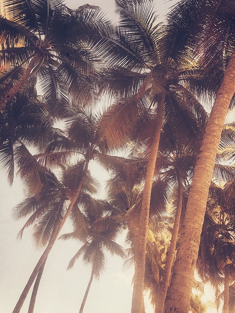 Vintage Palms art print by Acosta for $57.95 CAD