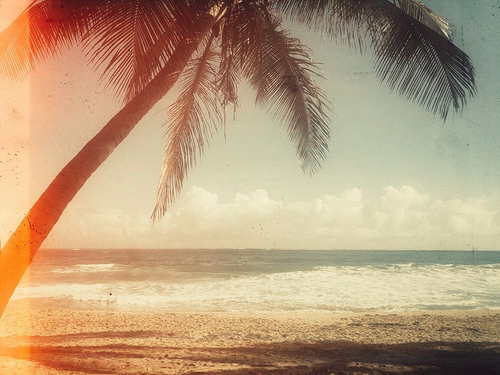 Single Palm art print by Acosta for $57.95 CAD