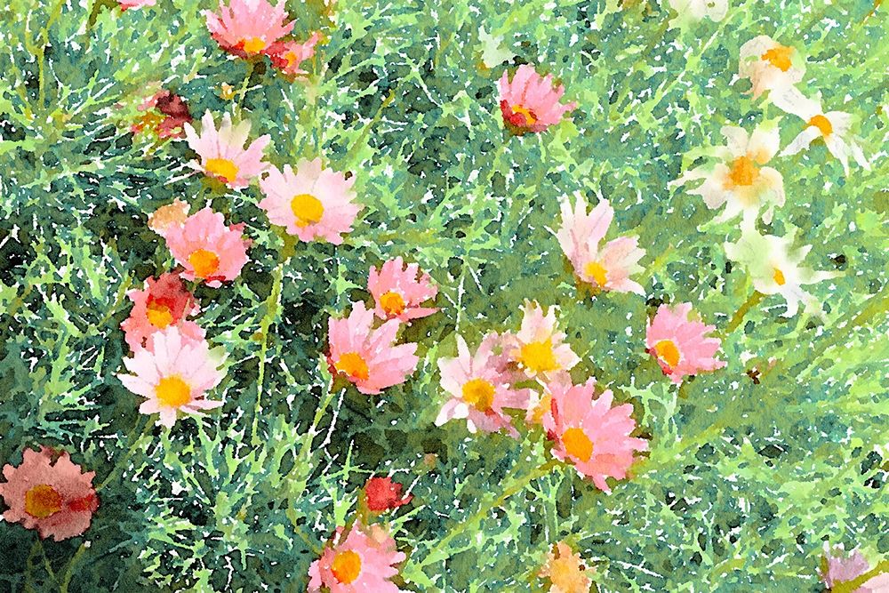 Daisy Field I art print by Emily Navas for $57.95 CAD