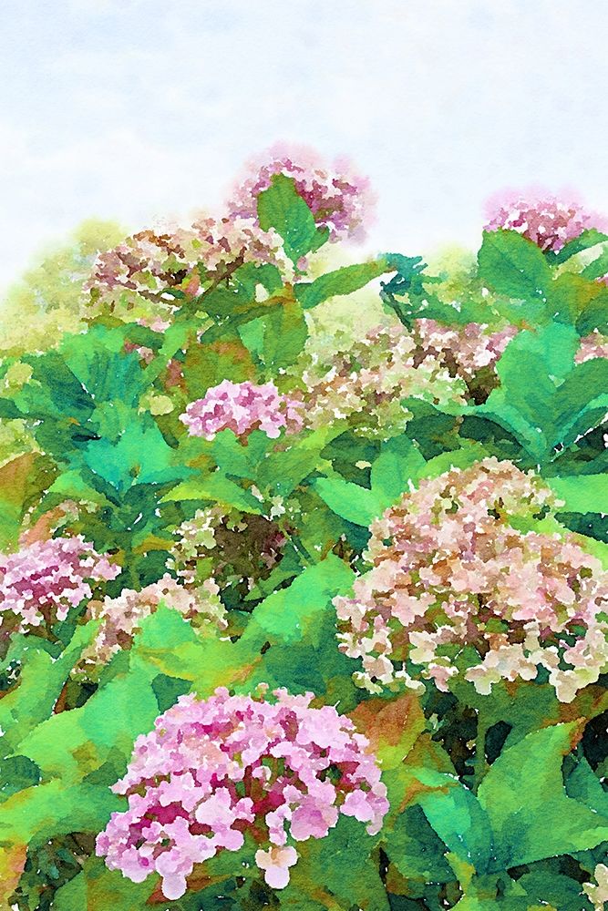 Garden Beauties II art print by Emily Navas for $57.95 CAD