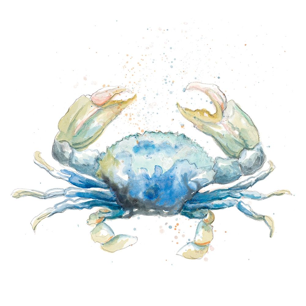 Cangrejo Azul Square art print by Patricia Pinto for $57.95 CAD
